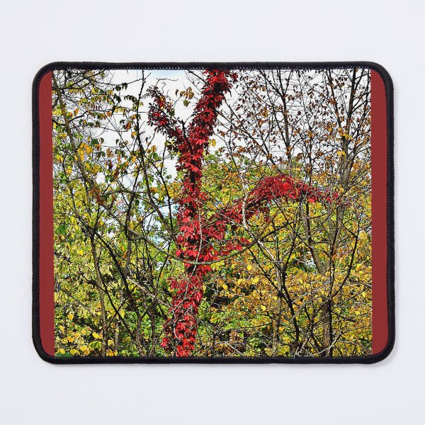 Item preview, Tree Outlined in Red designed and sold by Martha Sherman.