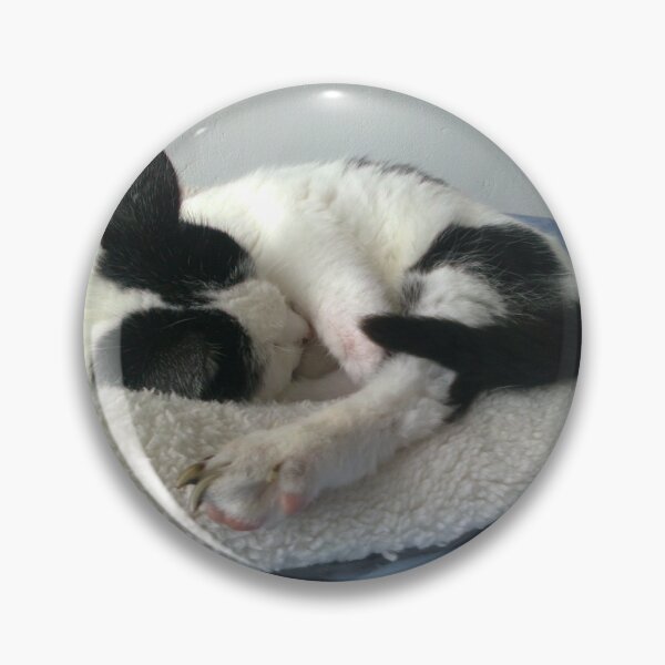 Item preview, #261 |☼| Cat Nappin' - Bradley: Shot 1 (Cats) designed and sold by Naean H.F. (Nez Man).