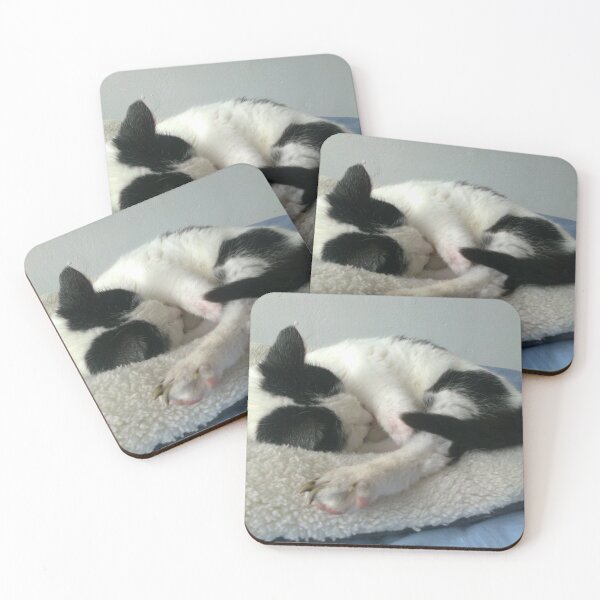 Item preview, #261 |☼| Cat Nappin' - Bradley: Shot 1 (Cats) designed and sold by Naean H.F. (Nez Man).
