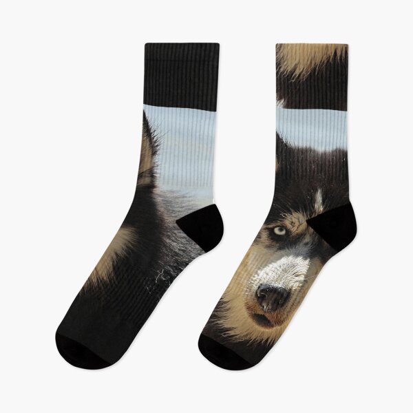 Item preview, Husky dog, siberian husky, cut, puppy designed and sold by ISSAMAKACHAH.