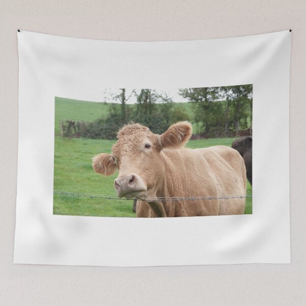 Item preview, Brown cow designed and sold by frogs123.