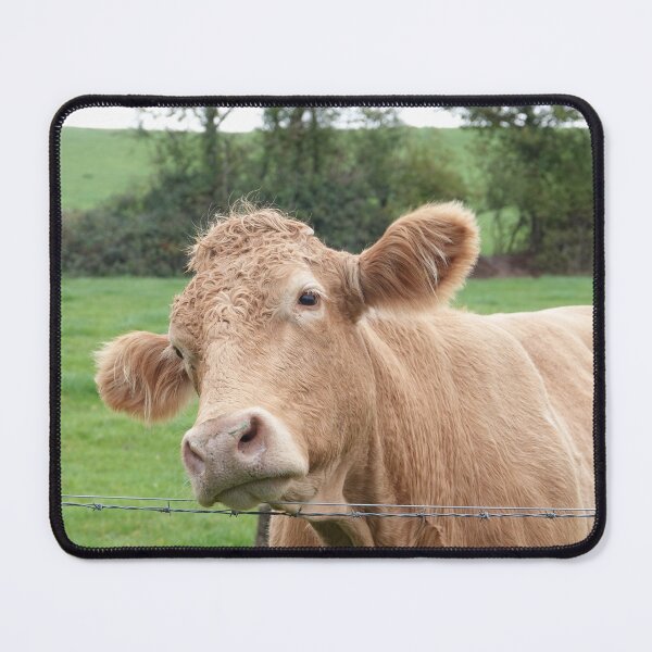 Item preview, Brown cow designed and sold by frogs123.