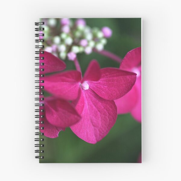 Item preview, Fresas y crema de Hydrangea designed and sold by Joy Watson - Natural Light Photography .