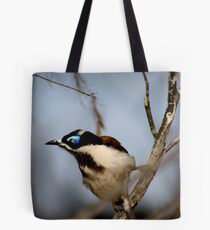 Blue Faced Honeyeater Tote Bag