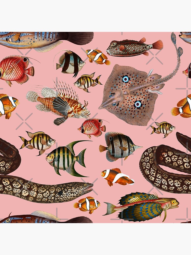 Tropical Fish From Colorful Coral Reefs Pattern (pink) Poster for