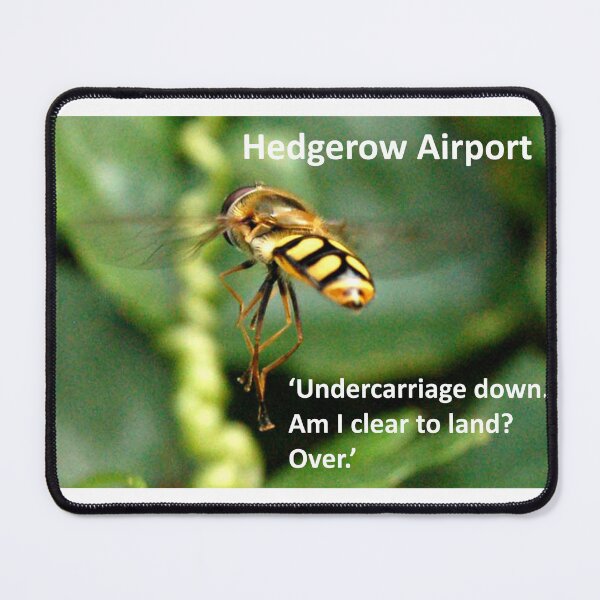 Item preview, Hedgerow Airport-Clear to Land? designed and sold by FrankieLassut.