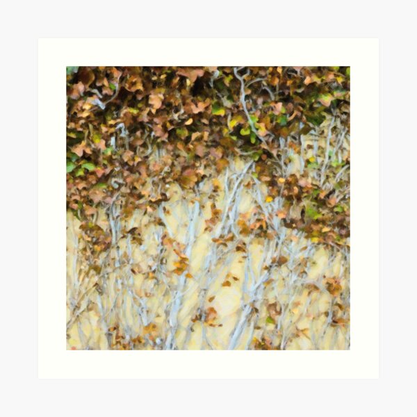 Leaves on Wall Art Print