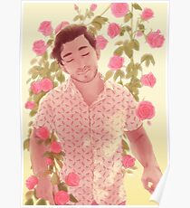Schön in pink Poster