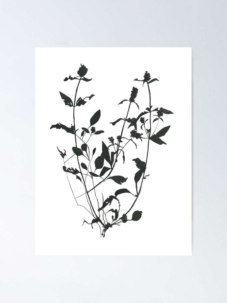 Pressed Flowers No1 Poster