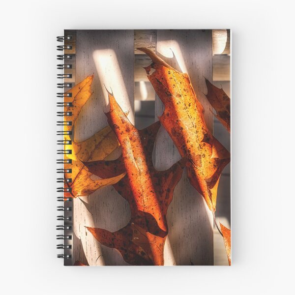 Item preview, Saturate And Glow designed and sold by Jim Love.