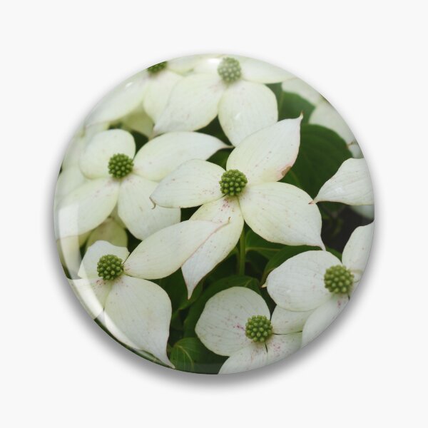 Item preview, Dogwood Blossoms designed and sold by okomedesign.