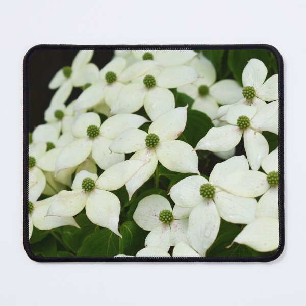 Item preview, Dogwood Blossoms designed and sold by okomedesign.