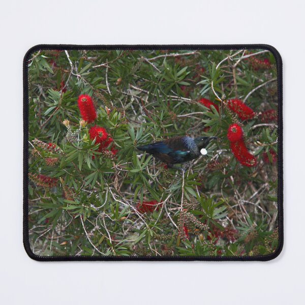 Item preview, Tūī Delight designed and sold by KiwiImages.