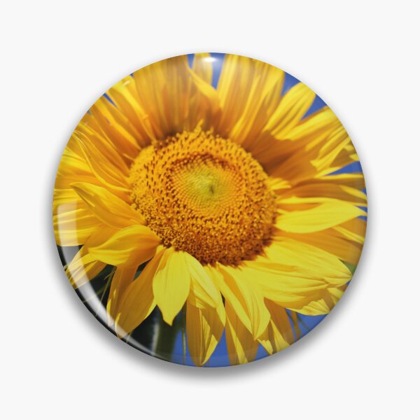 Item preview, Sunflower Delight designed and sold by KiwiImages.