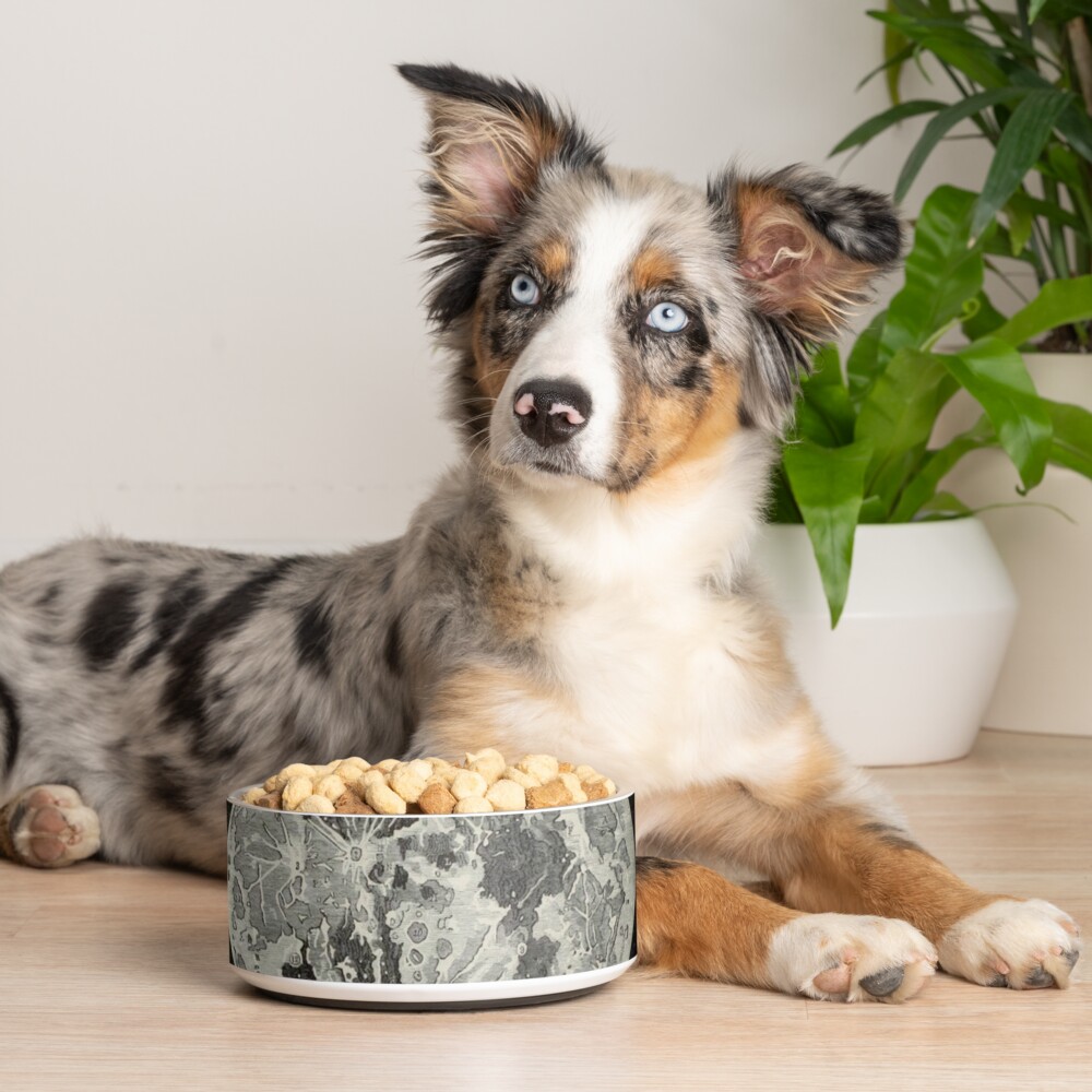 Item preview, Pet Bowl designed and sold by bluespecsstudio.