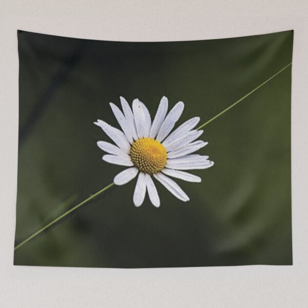 Artikelvorschau, Blume entworfen und verkauft von APERFECTA.