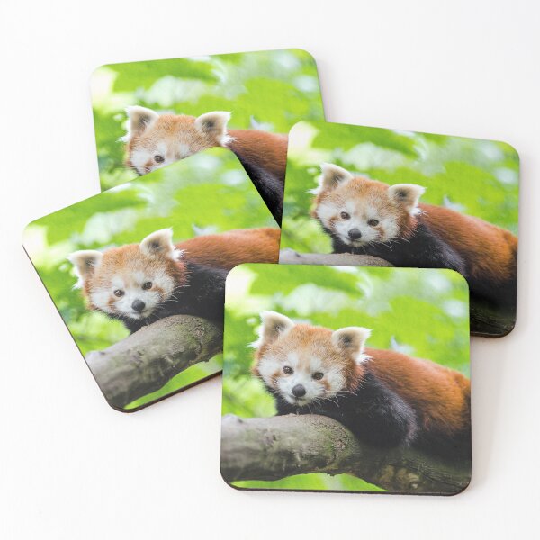 Item preview, Red Panda designed and sold by Frankie Cat Photography.