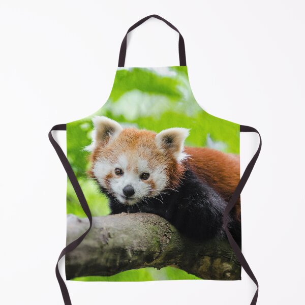 Item preview, Red Panda designed and sold by Frankie Cat Photography.