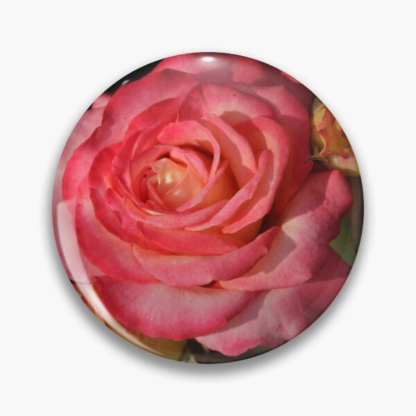 Item preview, Red rose on black background designed and sold by olena2552.