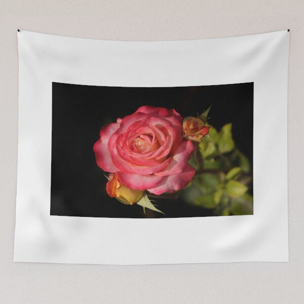 Item preview, Red rose on black background designed and sold by olena2552.