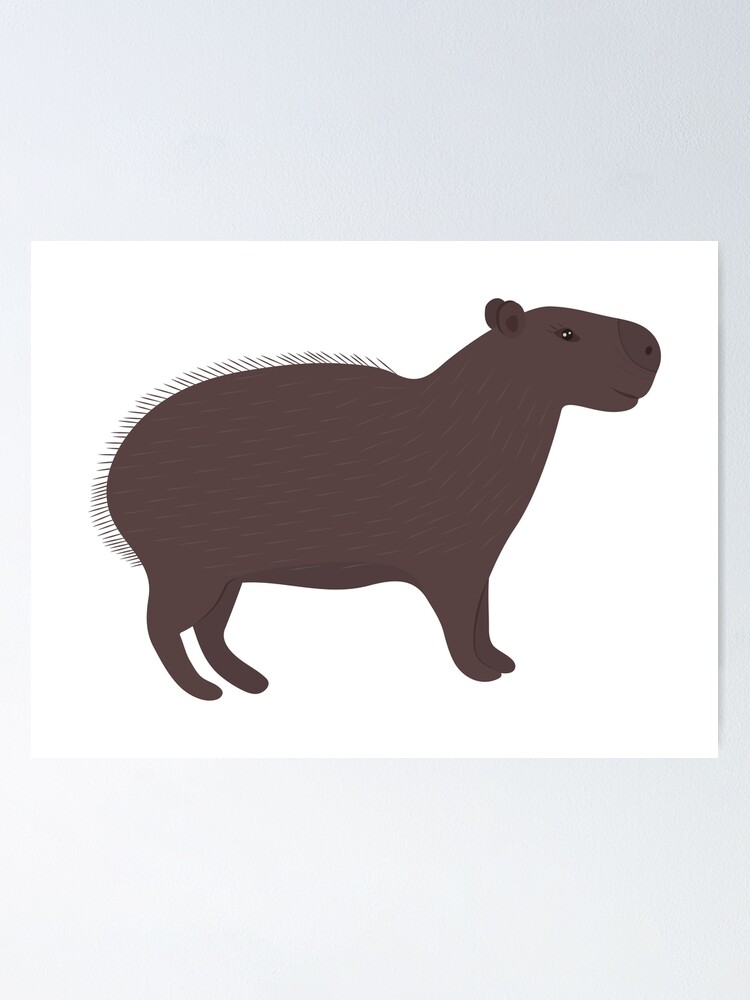 "Cute capybara, brown illustration" Poster for Sale by OMlova Redbubble