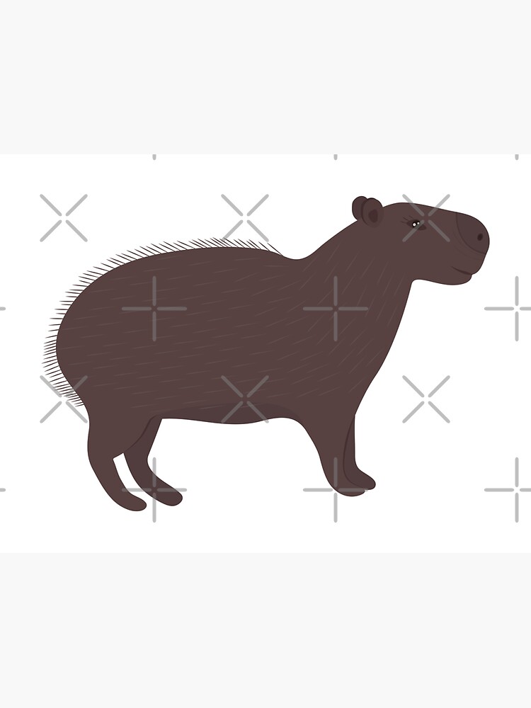 "Cute capybara, brown illustration" Sticker for Sale by OMlova Redbubble