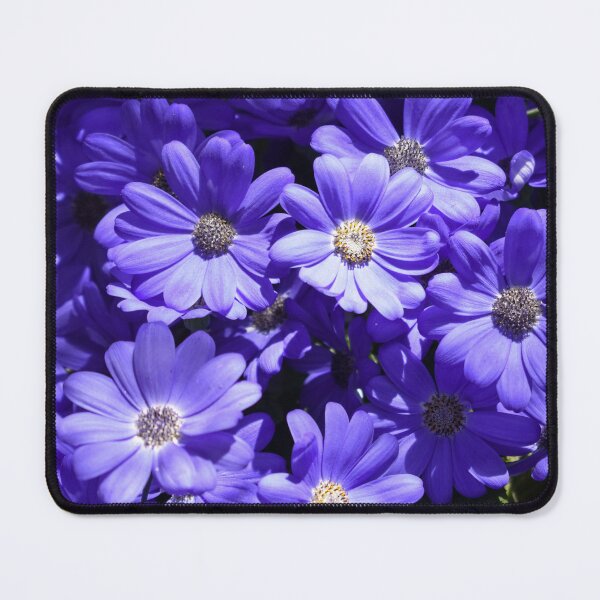 Item preview, Sun Dappled Cineraria designed and sold by okomedesign.