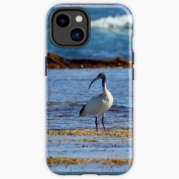 Australian White Ibis (4928) iPhone Tough Case
