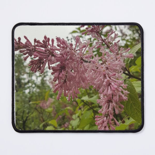 Item preview, Lilacs in the Rain designed and sold by MirandaMarcy.