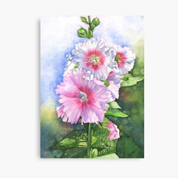 Hollyhocks Canvas Print