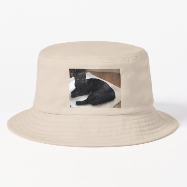 M.I. #263 |☼| Alfie - Shot 2 (Cats) Bucket Hat