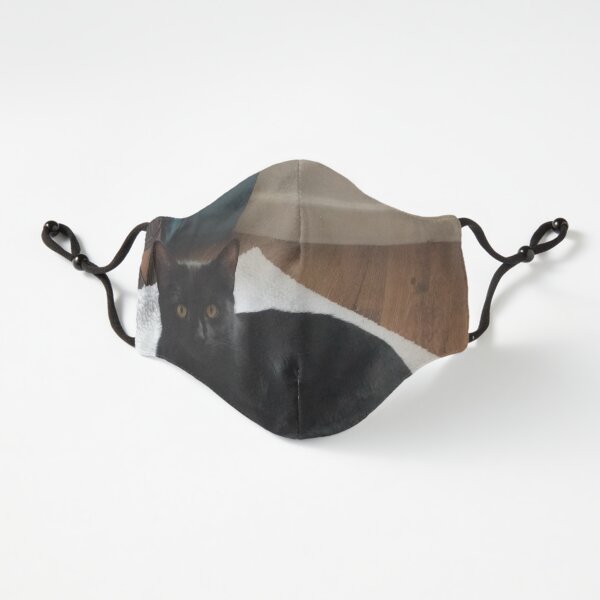 M.I. #263 |☼| Alfie - Shot 2 (Cats) Fitted 3-Layer