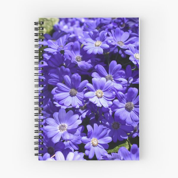 Item preview, Sun Dappled Cineraria designed and sold by okomedesign.