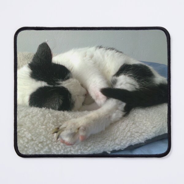 Item preview, #261 |☼| Cat Nappin' - Bradley: Shot 1 (Cats) designed and sold by Naean H.F. (Nez Man).