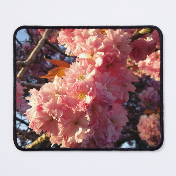 Item preview, Cherry Blossoms designed and sold by MirandaMarcy.