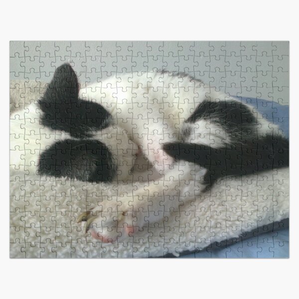 M.I. #261 |☼| Bradley (Cats) Jigsaw Puzzle