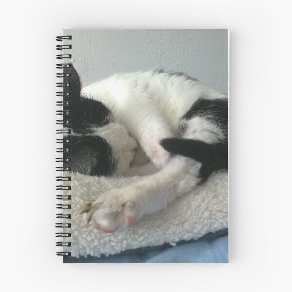 Item preview, #261 |☼| Cat Nappin' - Bradley: Shot 1 (Cats) designed and sold by Naean H.F. (Nez Man).