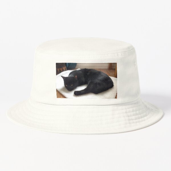 M.I. #262 |☼| Alfie - Shot 1 (Cats) Bucket Hat