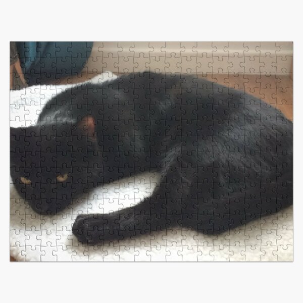 M.I. #262 |☼| Alfie - Shot 1 (Cats) Jigsaw Puzzle