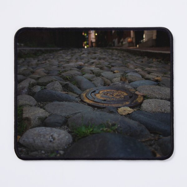 Item preview, Acorn Street designed and sold by cobysugarsphoto.