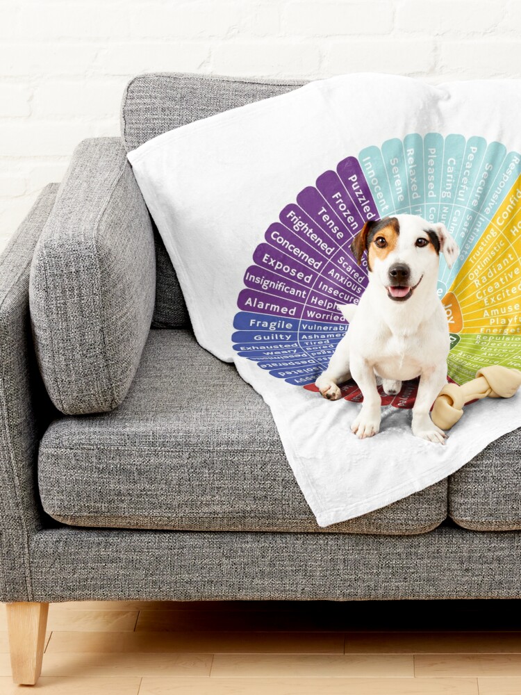 https://ih1.redbubble.net/image.4478248763.4610/ur,pet_blanket_small_lifestyle_couch,tall_portrait,750x1000.jpg