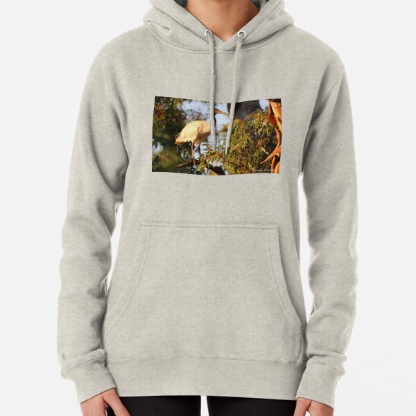 Australian White Ibis (3327) Pullover Hoodie