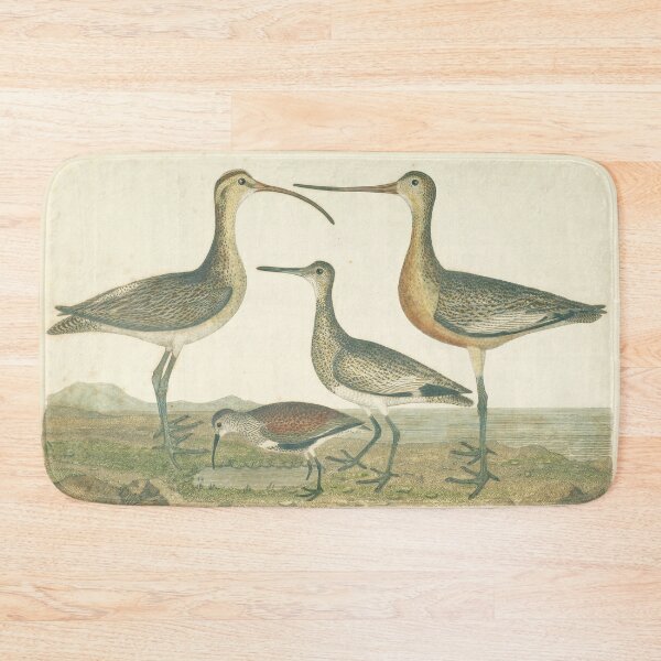 Item preview, Antique Bird Print Marsh Wetlands designed and sold by antiqueart.