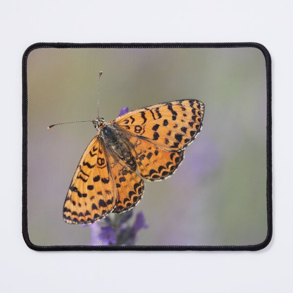Item preview, Spotted Fritillary Butterfly designed and sold by SweepingShadows.