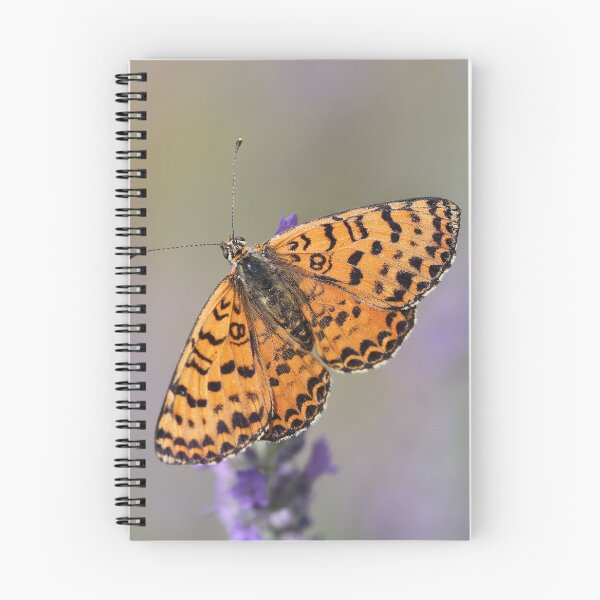 Item preview, Spotted Fritillary Butterfly  designed and sold by SweepingShadows.