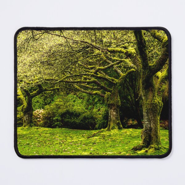 Item preview, Spring Woodland designed and sold by joeflow1.