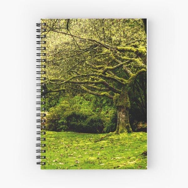 Item preview, Spring Woodland designed and sold by joeflow1.