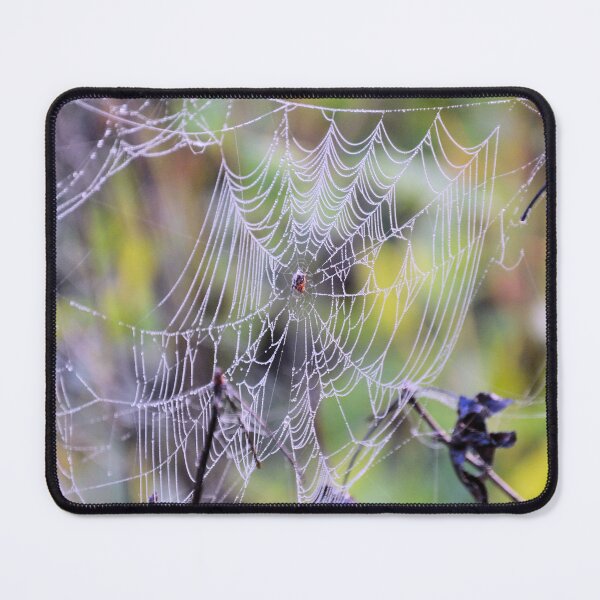 Item preview, Orb-weaver Web designed and sold by What I See by Dawne.