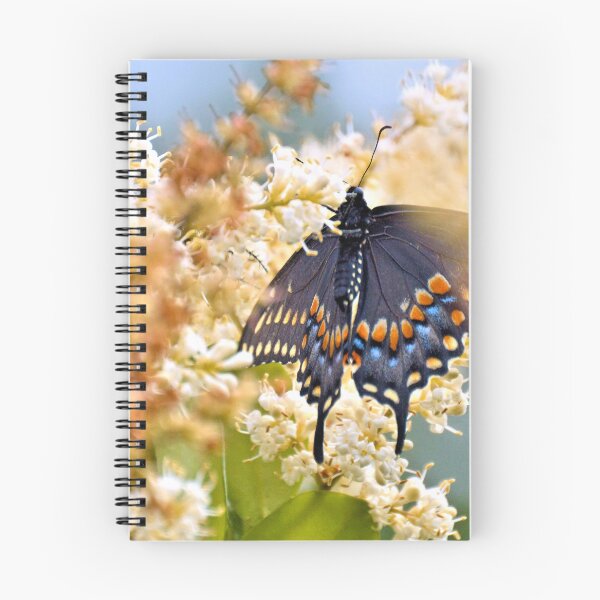 Item preview, Black Swallowtail Butterfly designed and sold by What I See by Dawne.
