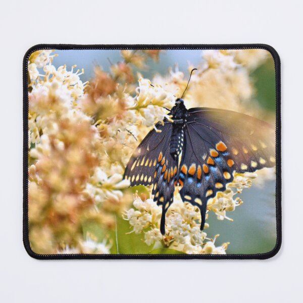 Item preview, Black Swallowtail Butterfly designed and sold by What I See by Dawne.